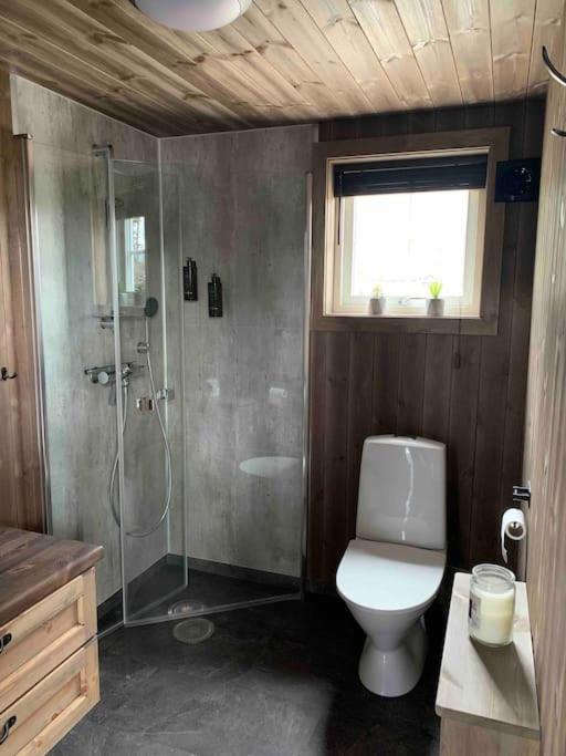 Cosy Cabin Between Lake And Mountain Treungen 외부 사진