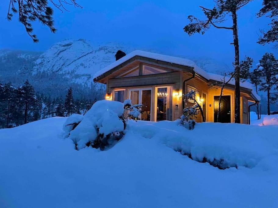 Cosy Cabin Between Lake And Mountain Treungen 외부 사진