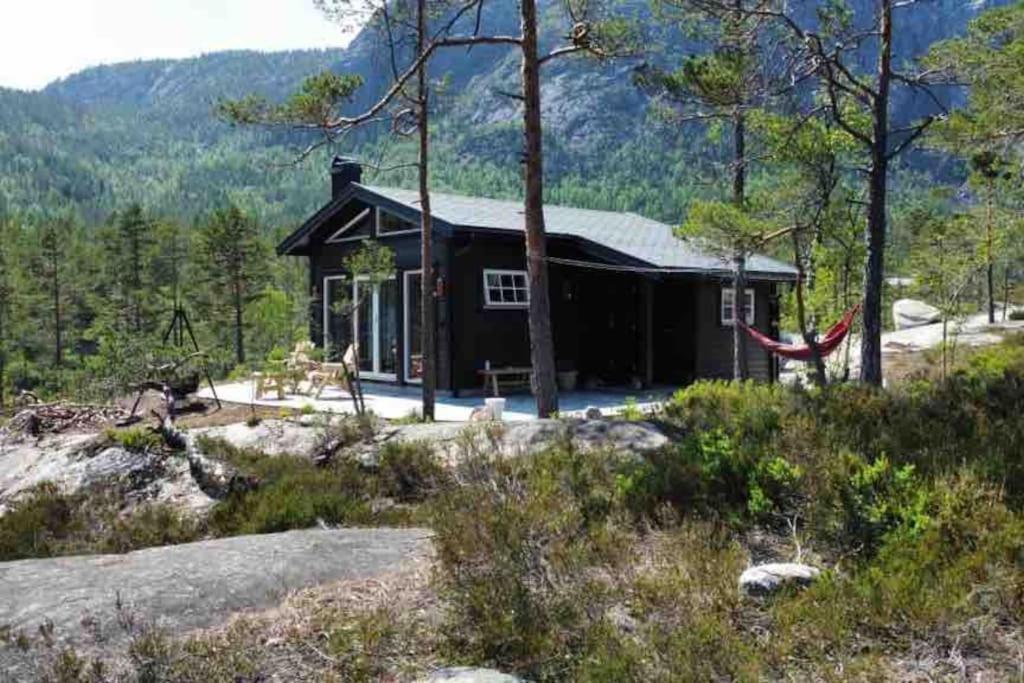 Cosy Cabin Between Lake And Mountain Treungen 외부 사진
